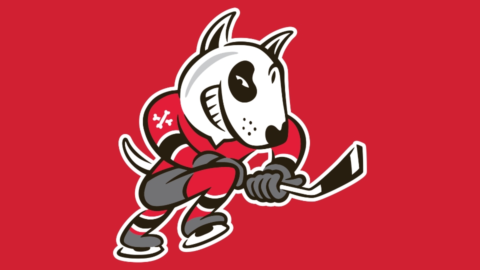 Manual vector redraw of complex multi-color logo 1